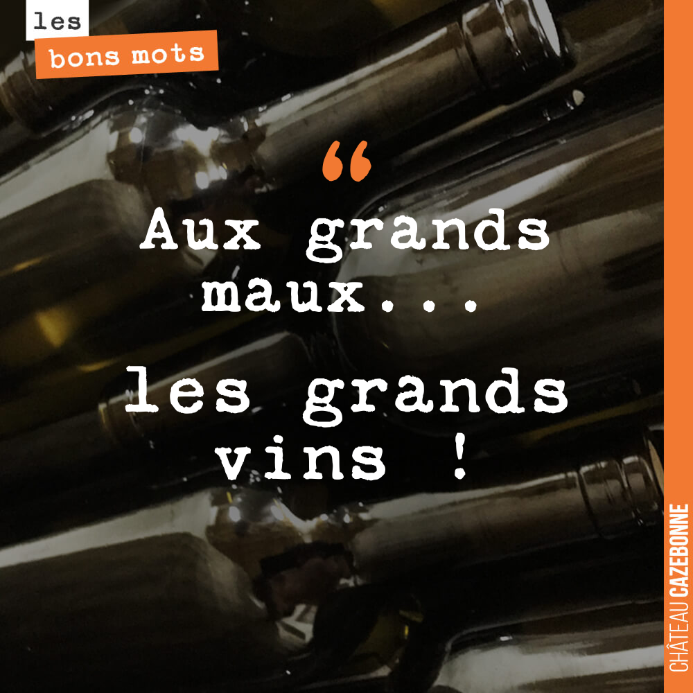 Aux grands maux... les grands vins !