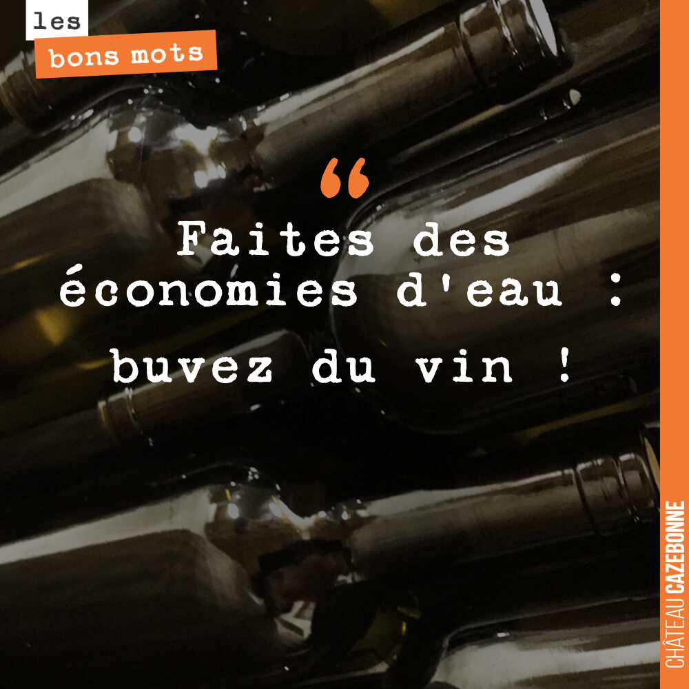 Faites des économies d'eau : buvez du vin !