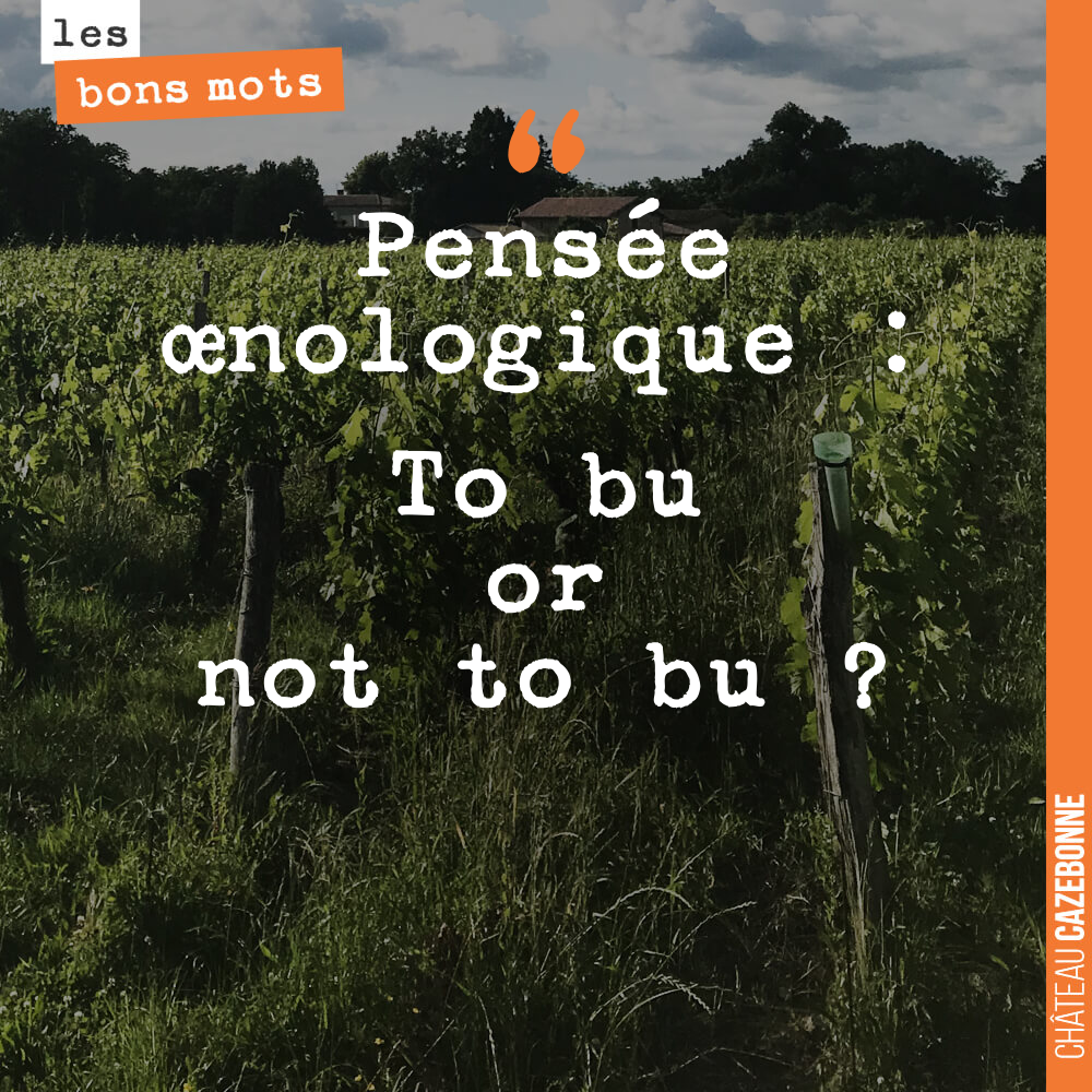 Pensée œnologique : To bu or not to bu ?