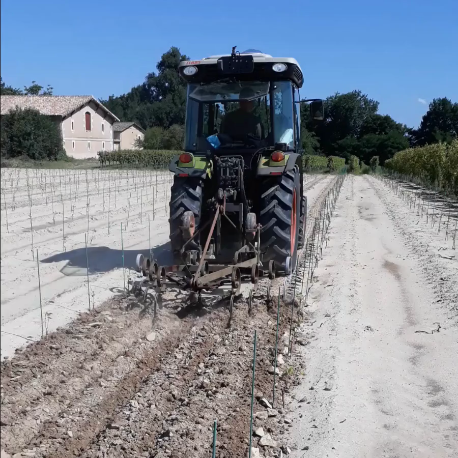 Il nous faut griffer le sol avant arrosage. La semaine s'annonce très chaude pour nos jeunes plantes.