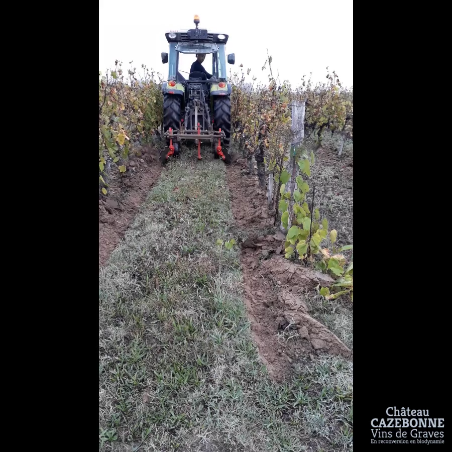 On a bricolé sur la herse des disques pour chausser la vigne. On est plutôt content du rendu.
Il va être temps de laisser la vigne se reposer après le stress qu'elle a connu avec la grêle, cette a...