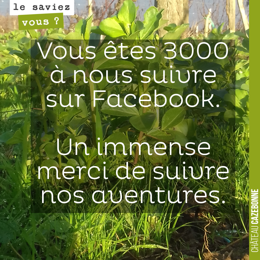Merci de nous suivre, de nous encourager.
On espère très bientôt pouvoir vous faire goûter notre vin !