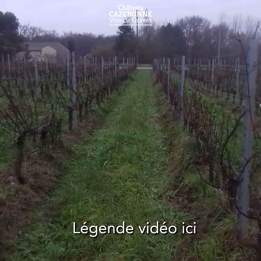 Francis nous présente les sols de Château Cazebonne en hiver, après deux ans de biodynamie.