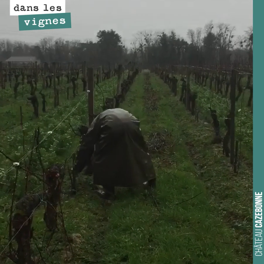 Lorsqu’il pleut trop, on interrompt la taille pour se consacrer au tirage des bois.
La preuve en images.