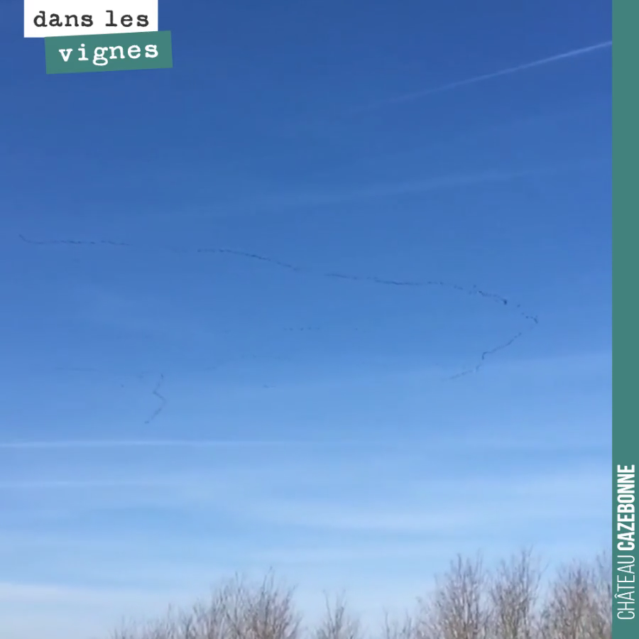 Les grues remontent. Le bruit du vent couvre leur chant. Mais quand les grues remontent, c’est que le printemps n’est pas loin !