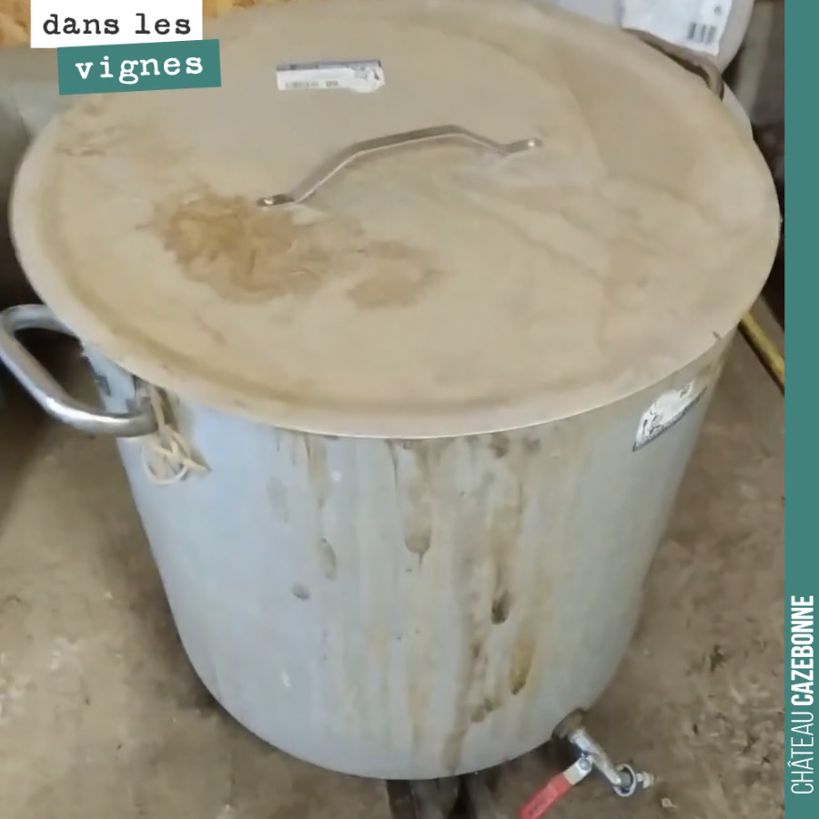 Voici comme on prépare notre tisane de prêle. Nous n’avons pas eu le temps de la passer la semaine dernière. Le gel prévu pour le week-end nous a amené à décaler le passage de cette tisane qui a po...
