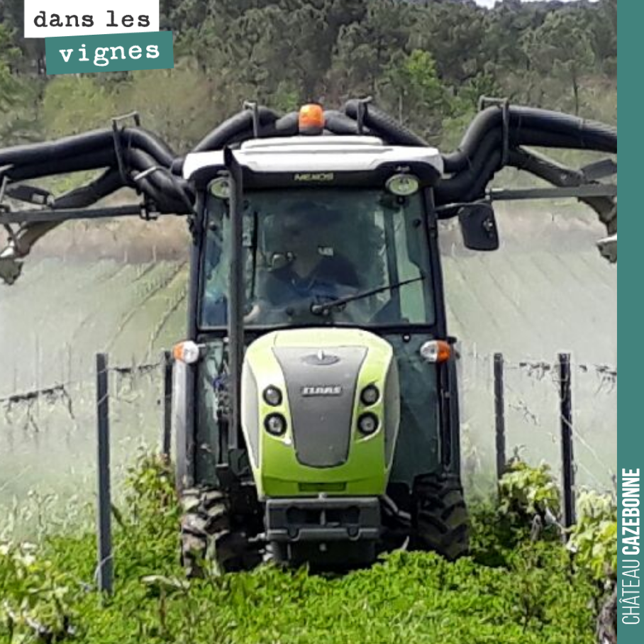Nous avons effectué hier notre cinquième traitement de l’année avec les mêmes doses que la semaine dernière, à savoir 300g de cuivre et 5 kilos de soufres (plus une tisane dynamisée). Cela nous mèn...