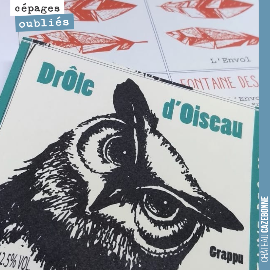 Entre vignerons replantant des cépages oubliés, il y a une soif de savoir qui nous rassemble. Benoit Périssé a repris il y a deux ans des vignes dans le bergeracois. Parmi ces parcelles, il a réuss...