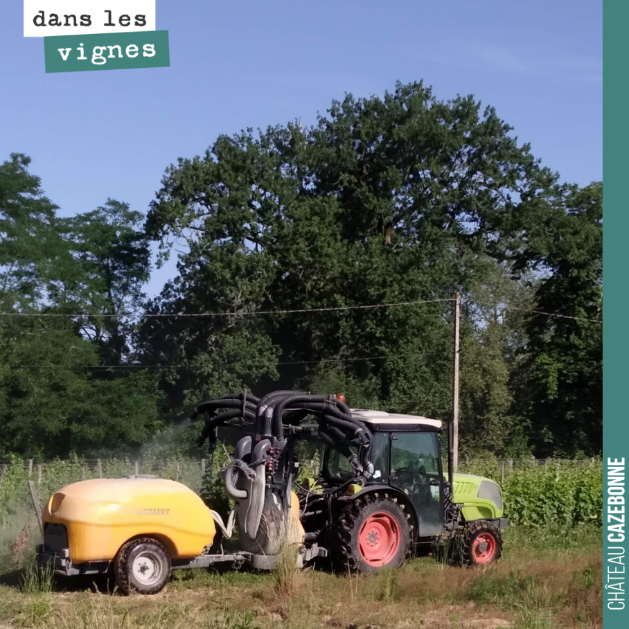 8ème traitement de l’année, aujourd’hui. Même dose que la semaine dernière, à savoir 300g de cuivre par hectare plus 5 kilos de soufre pour l’oidium. Nous avons également dynamisé une tisane d’orig...