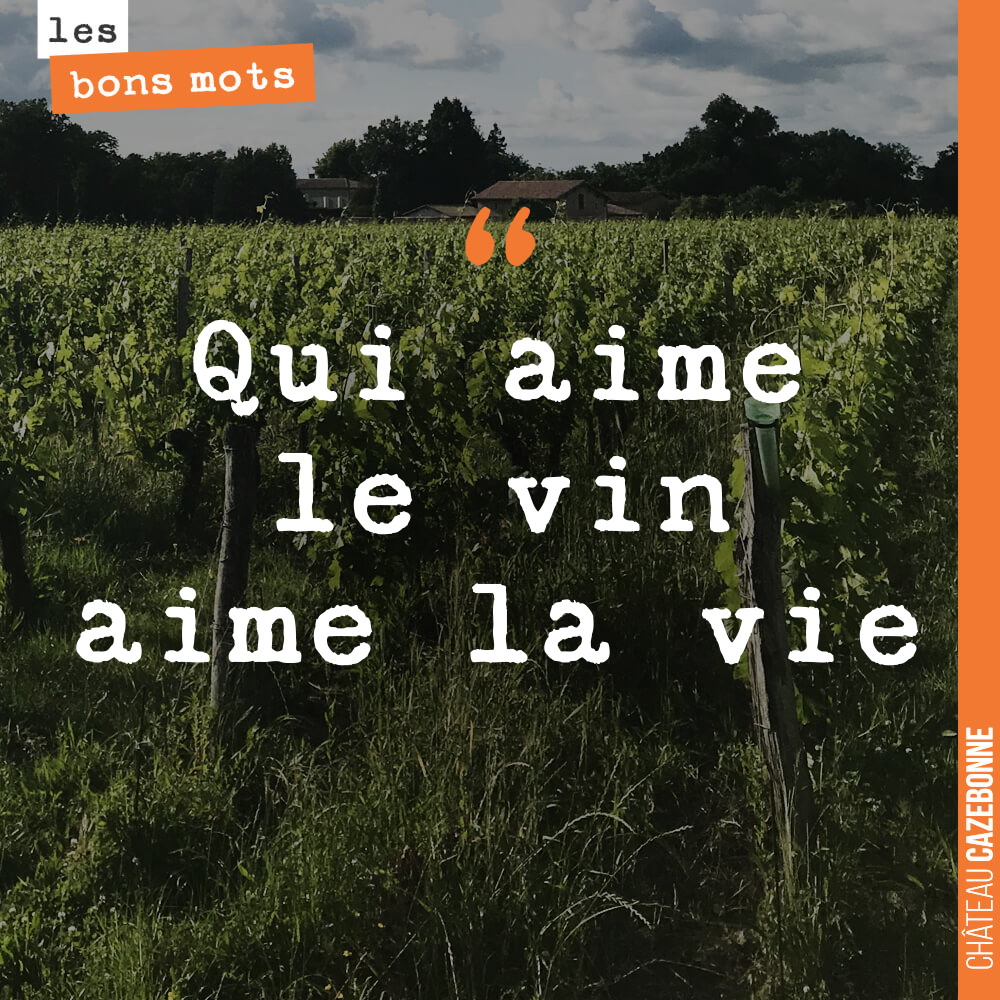 Qui aime le vin aime la vie