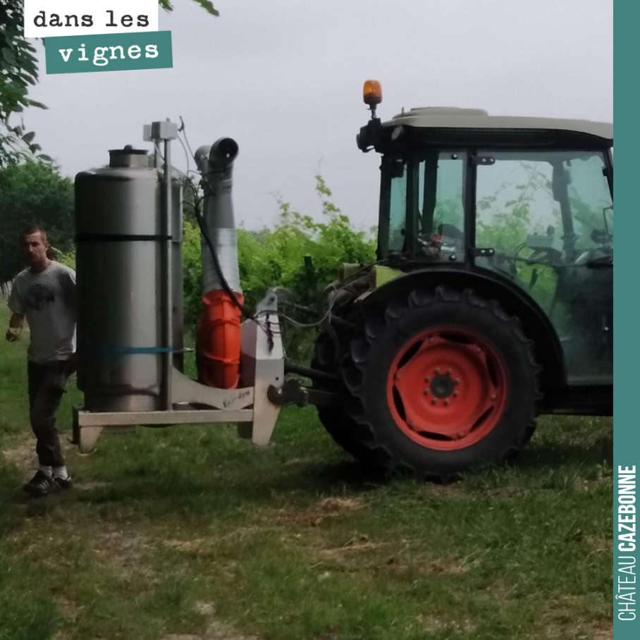 Ce matin, passage de la 501 (silice de corne) dans nos vignes. L’objectif est de renforcer le végétal pour plus d’équilibre des raisins à la vendange. Cette préparation dynamisée se passe au lever ...