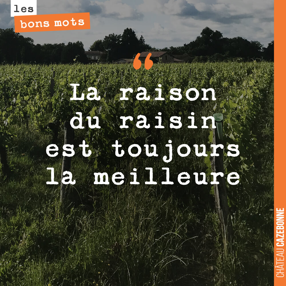La raison du raisin est toujours la meilleure