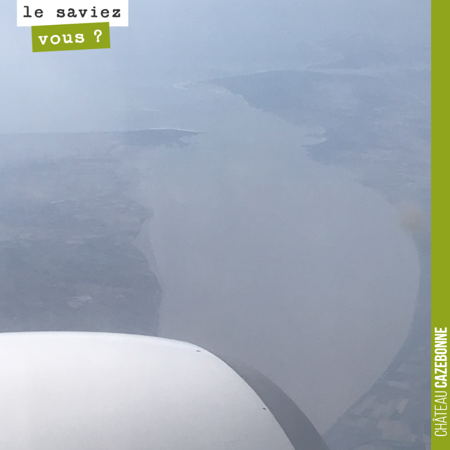 Elle est belle la Gironde. Photo prise depuis l’avion hier !