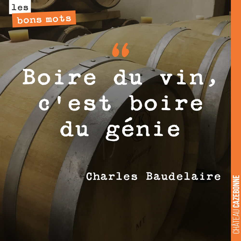 Boire du vin, c'est boire du génie