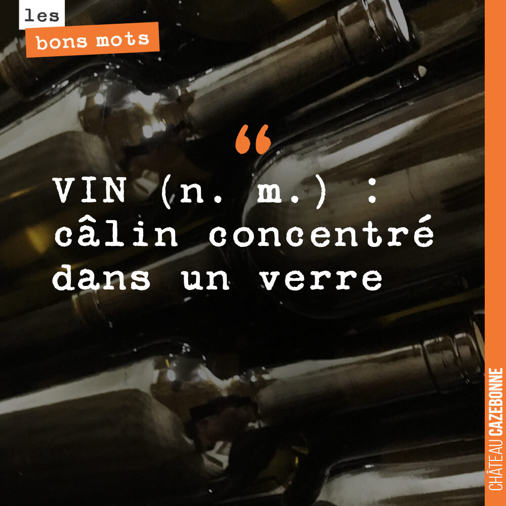 VIN (n. m.) : câlin concentré dans un verre