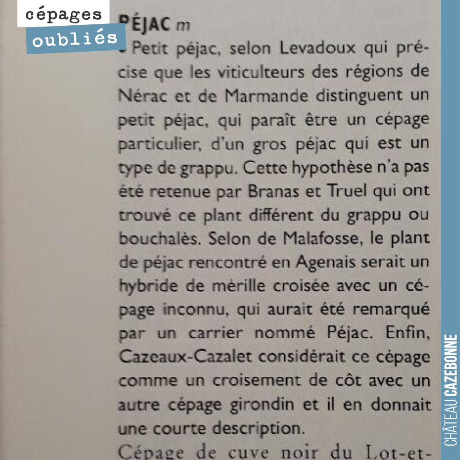 On se penche sur le Galet, bible de l'ampélographie, pour voir ce qu’on y raconte sur le Petit Pejac, ce cépage du Lot et Garonne et du sud Gironde.
On le replantera prochainement pour en redécouv...