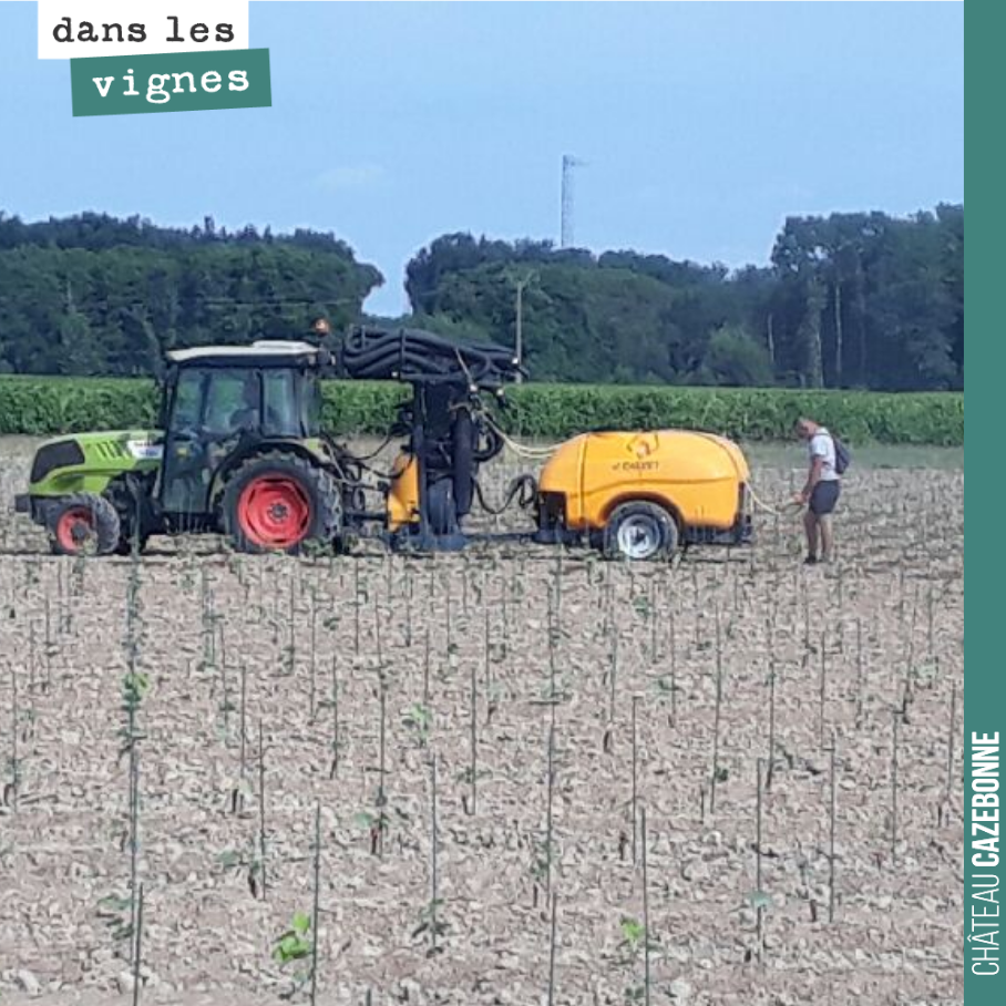 On arrose les plantations, pied par pied. Si on n’arrose pas, on perdra tout avec les chaleurs annoncées en début de semaine. Cela en fait des pieds à arroser à raison de 6000 pieds par hectare. Et...