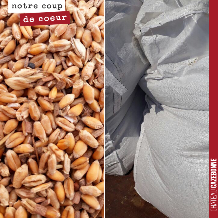 1400 kilos, voici le résultat de notre moisson de blés anciens. Sur 80 ares. Pas encore un exploit en terme de rendement. On fera mieux la prochaine fois !