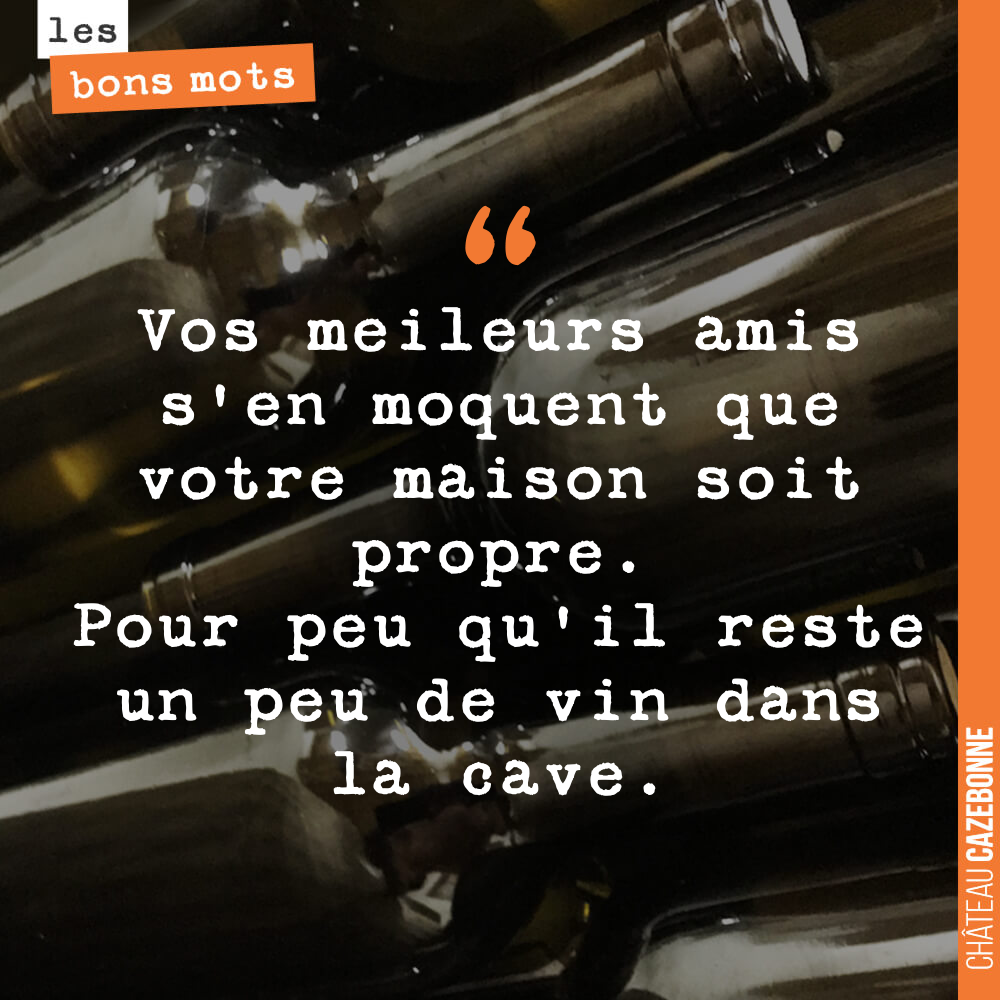 Vos meilleurs amis s'en moquent que votre maison soit propre. Pour peu qu'il reste un peu de vin dans la cave.