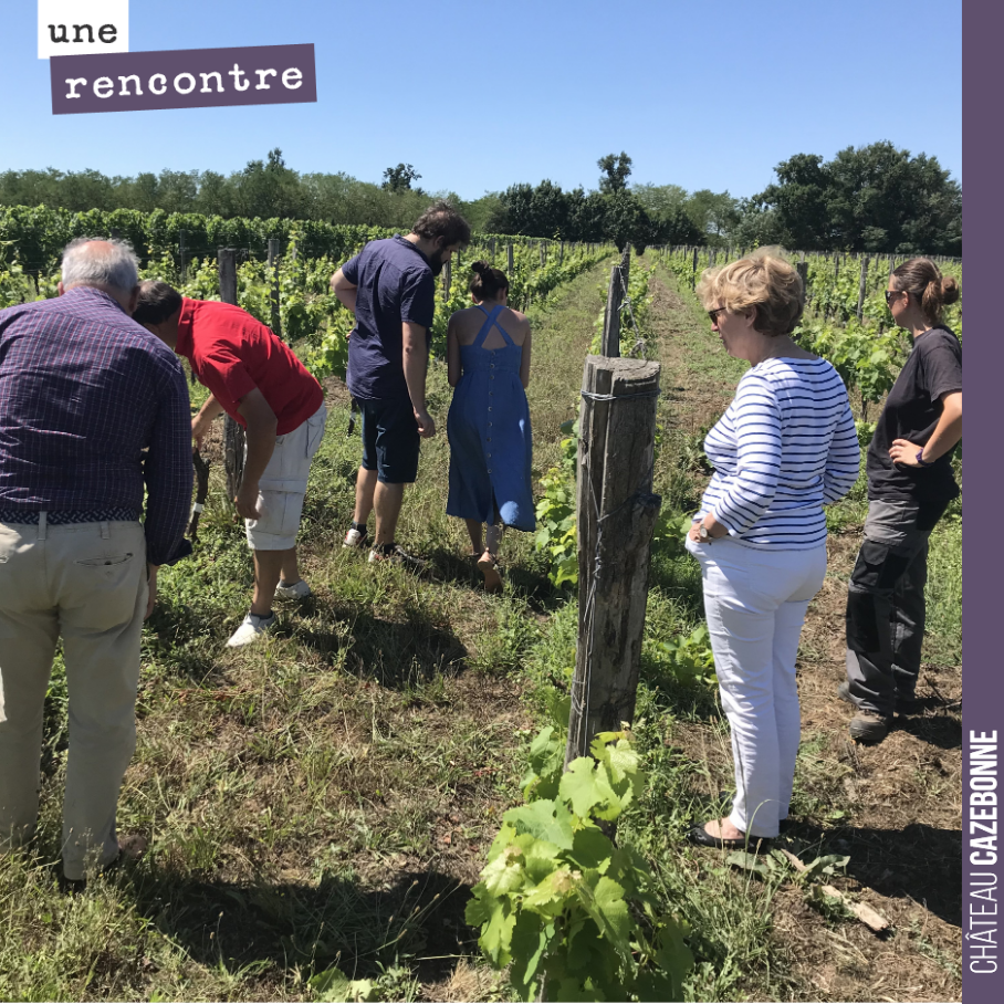 On a reçu cette semaine la visite de deux de nos futurs ambassadeurs. Ils participent au projet Les amis de Cazebonne. Nous avons d’ores et déjà atteint 50% de l’objectif en collecte et promesses. ...