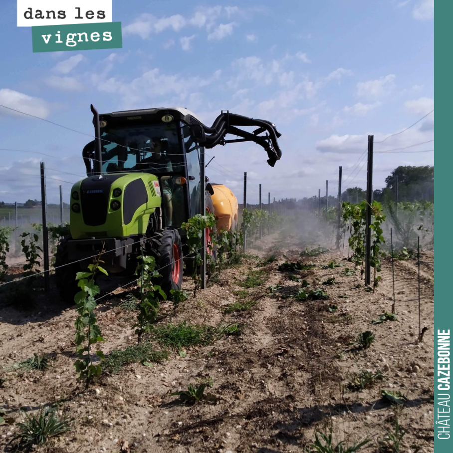 Petit cuivre et tisanes sur les plantes aujourd’hui. On a repéré quelques taches de mildiou. Il faut protéger le feuillage pour permettre la meilleure mise en réserve possible avant l’hiver.