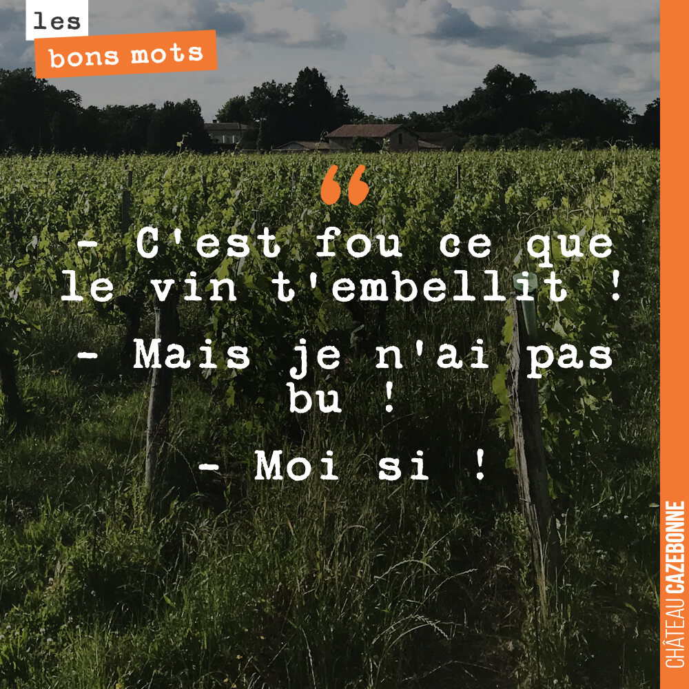 - C'est fou ce que le vin t'embellit ! - Mais je n'ai pas bu ! - Moi si !