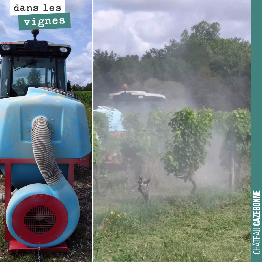 A l’aide de cette poudreuse, on va pulvériser sur les vignes un mélange d’argile et de soufre. Cela doit permettre d’éloigner des grappes les eudemis, mais également d’assécher les grappes et d’évi...