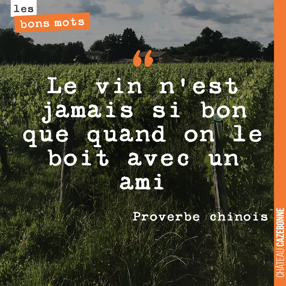 Le vin n'est jamais si bon que quand on le boit avec un ami