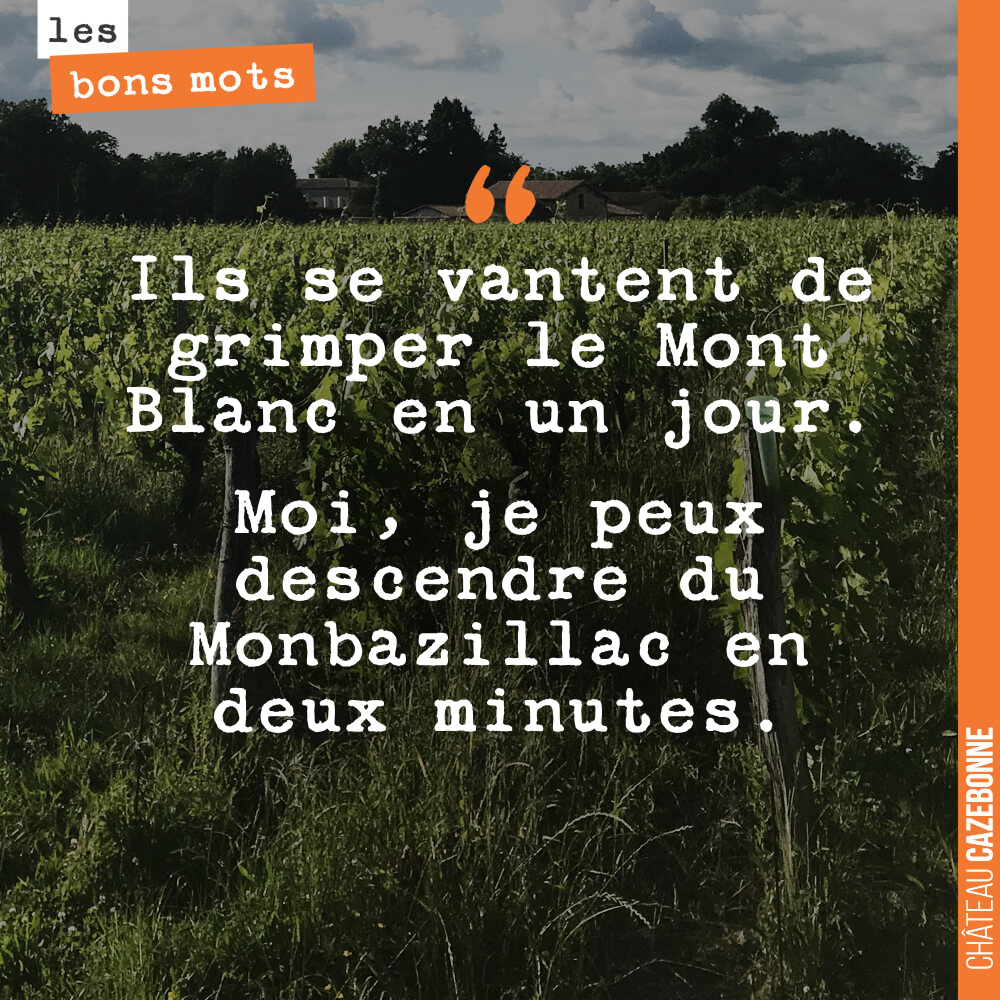 Ils se vantent de grimper le Mont Blanc en un jour. Moi, je peux descendre du Monbazillac en deux minutes
