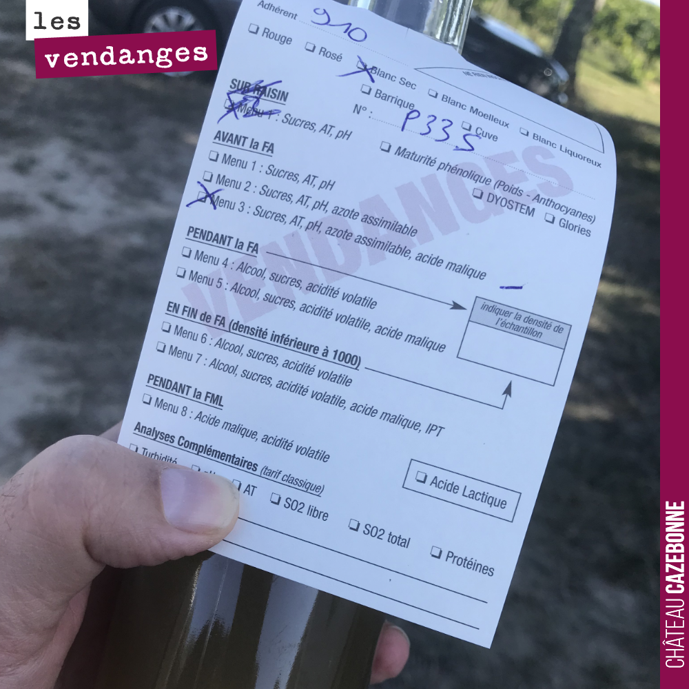 Dès que l'on rentre une cuve de vendange, on envoie un échantillon au laboratoire pour avoir le profil de la vendange, vérifier notamment avant fermentation les équilibres, que le taux d'azote est ...