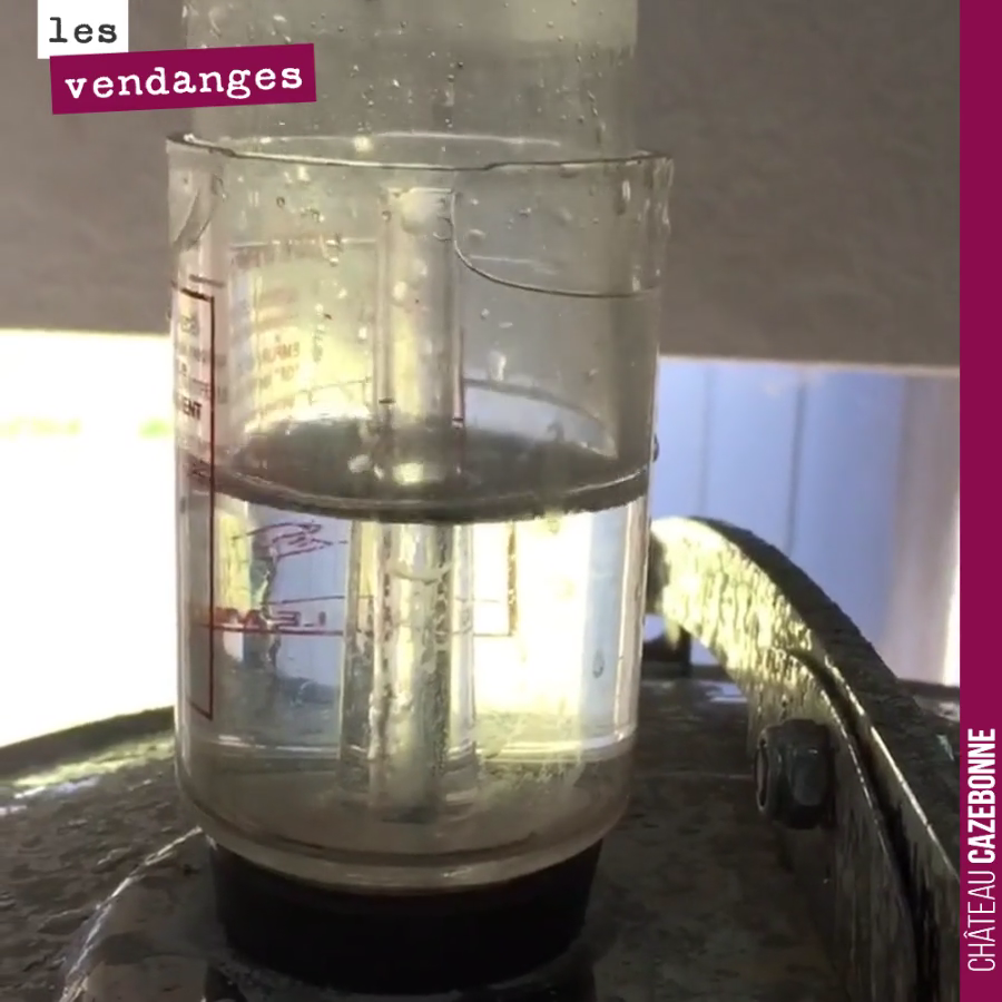 Les fermentations ont bien démarré. La vidéo montre la bonde antiseptique sur le dessus de la cuve, avec dedans du soufre liquide. Le gaz carbonique s’échappe de la cuve en fermentation.