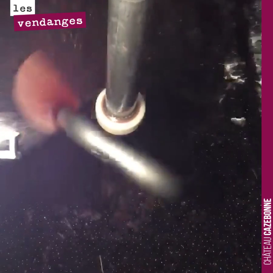 On remonte du jus sur la première cuve de merlot que nous venons de vendanger, afin d’homogénéiser la vendange et bien mouiller l’ensemble des raisins.
Demain, on accéléra la fermentation en versa...