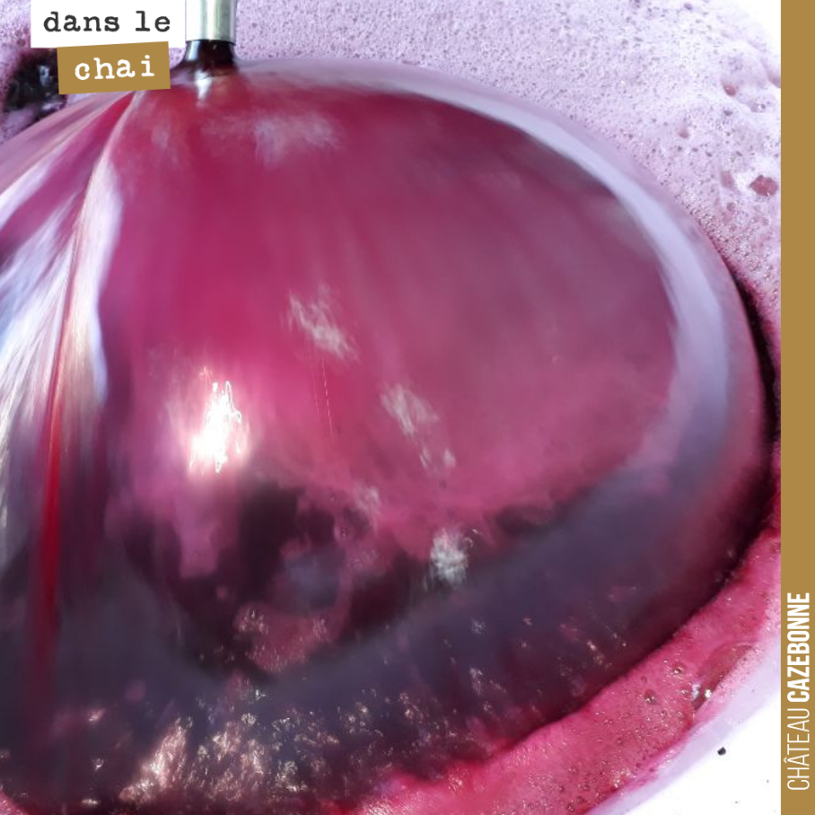 Les levures ont besoin d’azote et d’oxygène pour faire leur travail. Les remontages permettent ainsi d’apporter de l’oxygène pour leur bon développement.
Cela permet également de mouiller le chape...