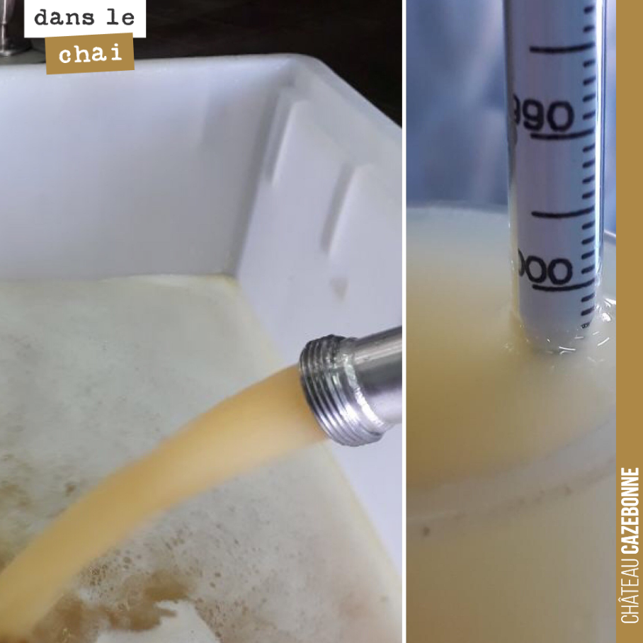 On aère les premières vendanges de blanc. L’oxygène que l’on apporte doit permettre aux levures de bien finir la fermentation. On est presque au bout sur cette cuve qui va nous servir à l’assemblag...
