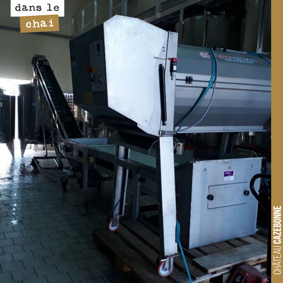 Notre installation est prête pour rentrer les prochaines vendanges de rouge : égrappoir (même sur les vendanges machines ce qui devrait nous permettre de ne conserver que des baies), puis table de ...