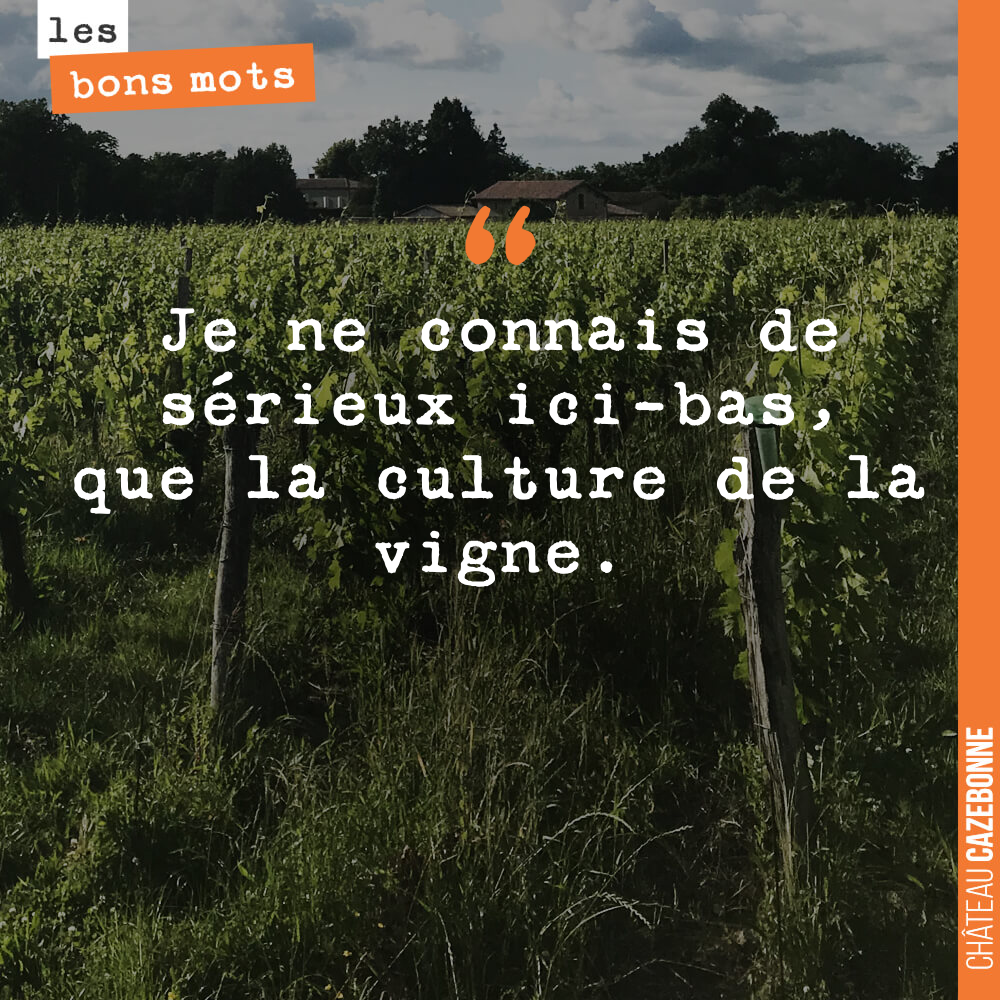 Je ne connais de sérieux ici-bas, que la culture de la vigne.
