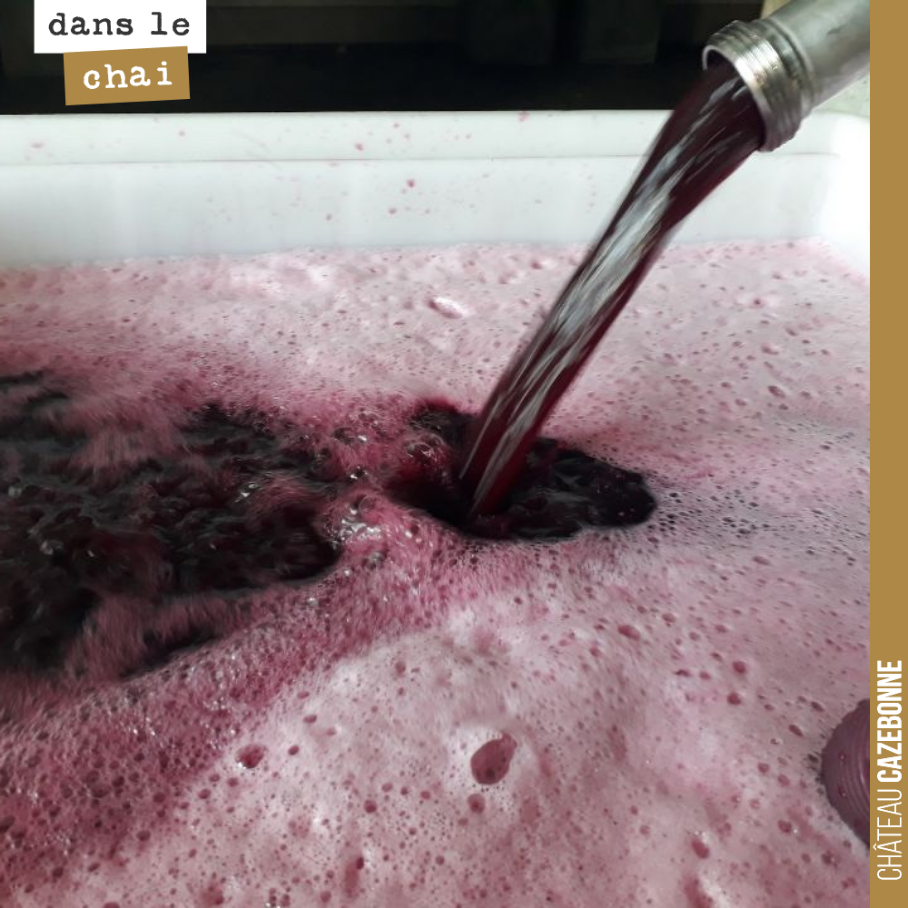 On continue les remontages. Notre première cuve de merlot est très bien avancée, maintenant. Après un pic de température à 28.c, les températures sont redescendues à 26.c. On maintient la températu...