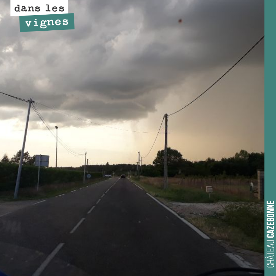 Les pluies annoncées ont bien été là ce week-end. On a reçu un total de 22mm.
Il va falloir être très vigilant dans les prochains jours. Le risque est que les baies éclatent et que le botrytis s’e...