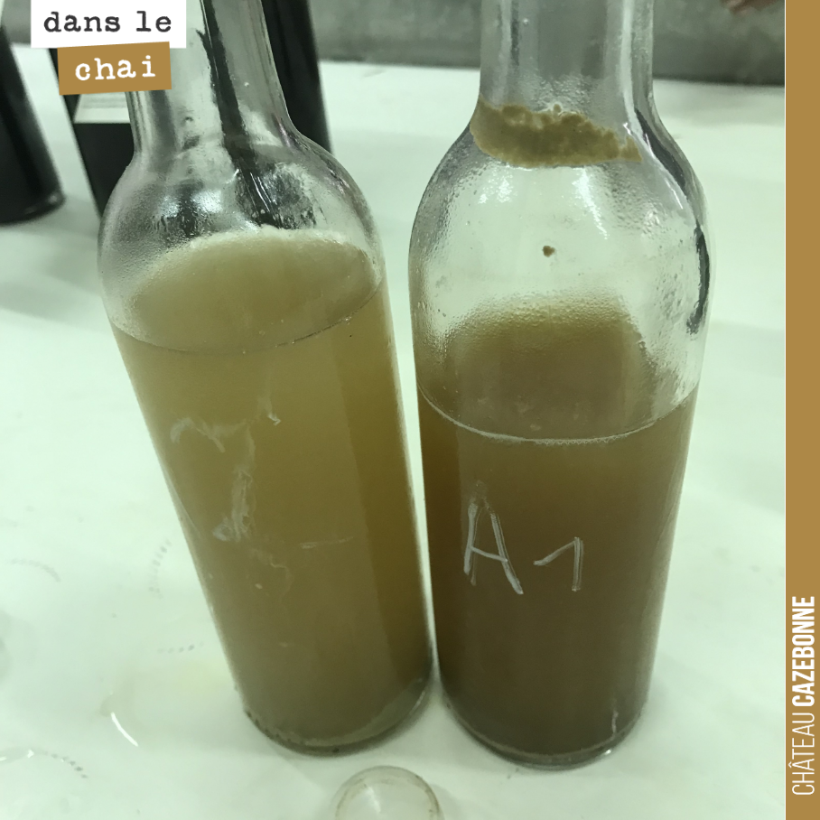 Cain et Abel, deux amphores vinifiées avec macération pelliculaire de 10 jours.
Sur la première, on a travaillé sur des sémillons en grappe entière pour une fermentation de type ´borjolaise ´.
Su...