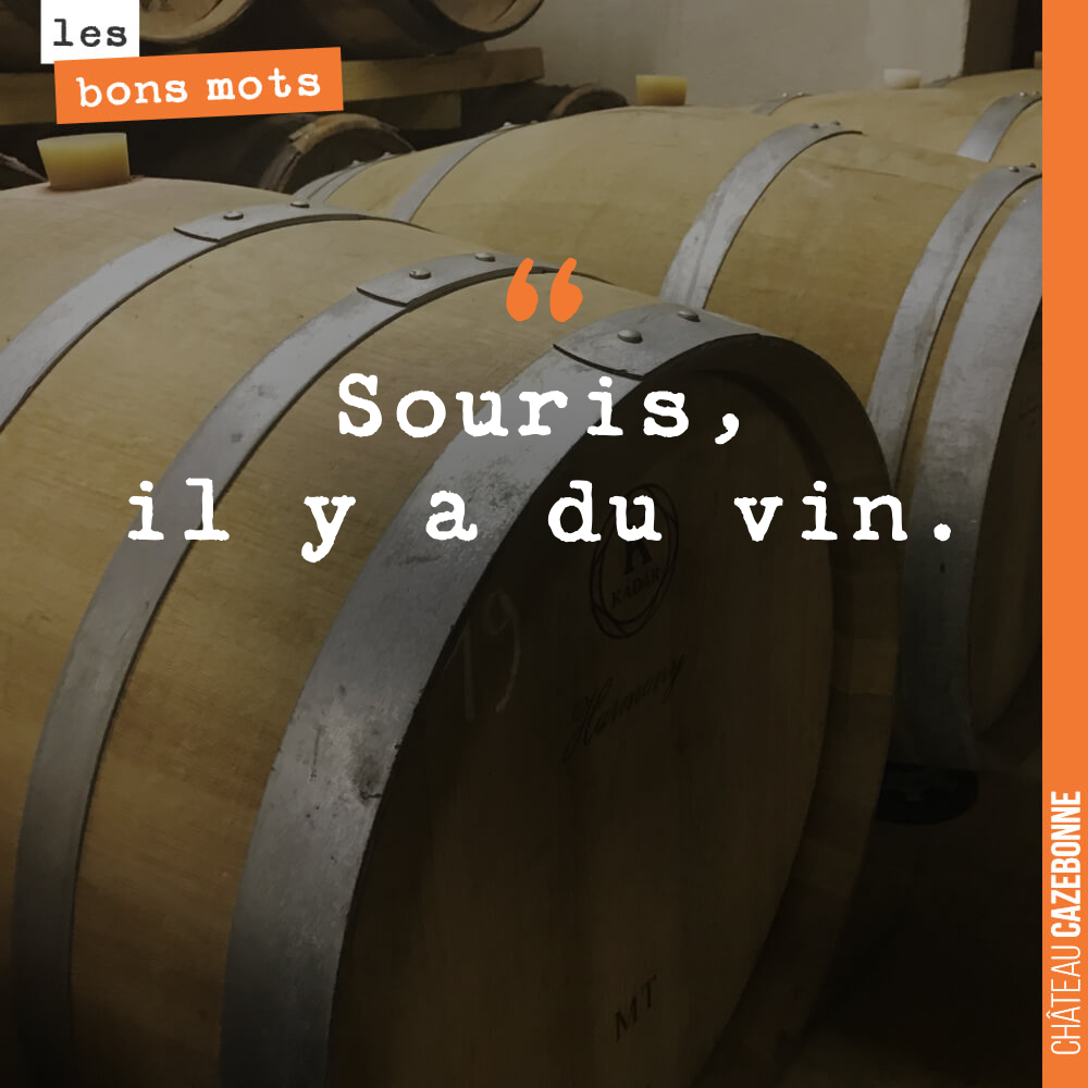 Souris, il y a du vin