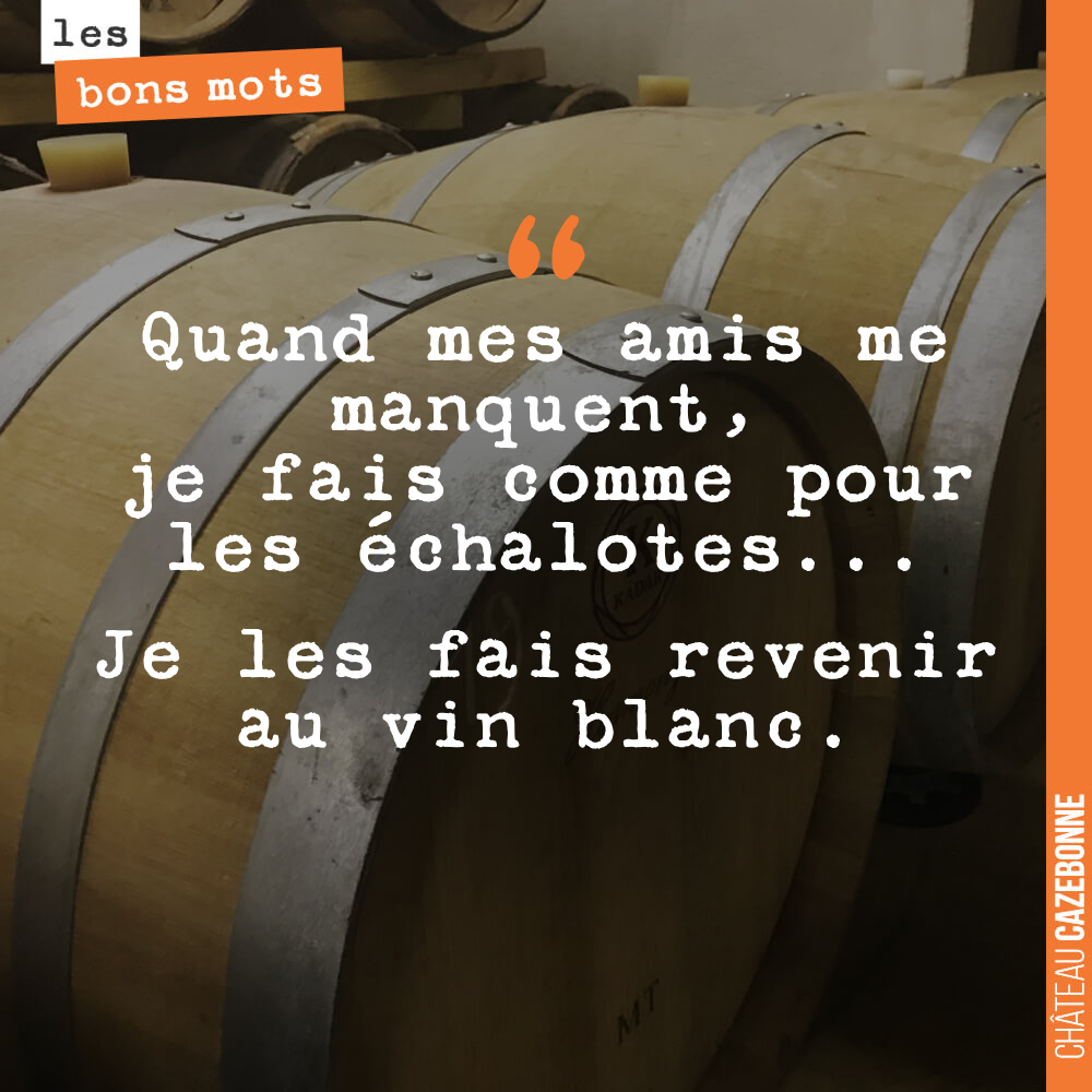 Quand mes amis me manquent, je fais comme pour les échalotes... Je les fais revenir au vin blanc.