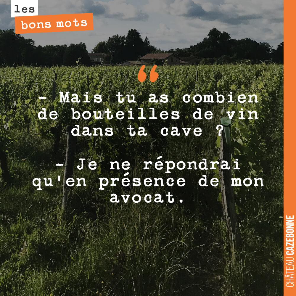 - Mais tu as combien de bouteilles de vin dans ta cave ? - Je ne répondrai qu'en présence de mon avocat.