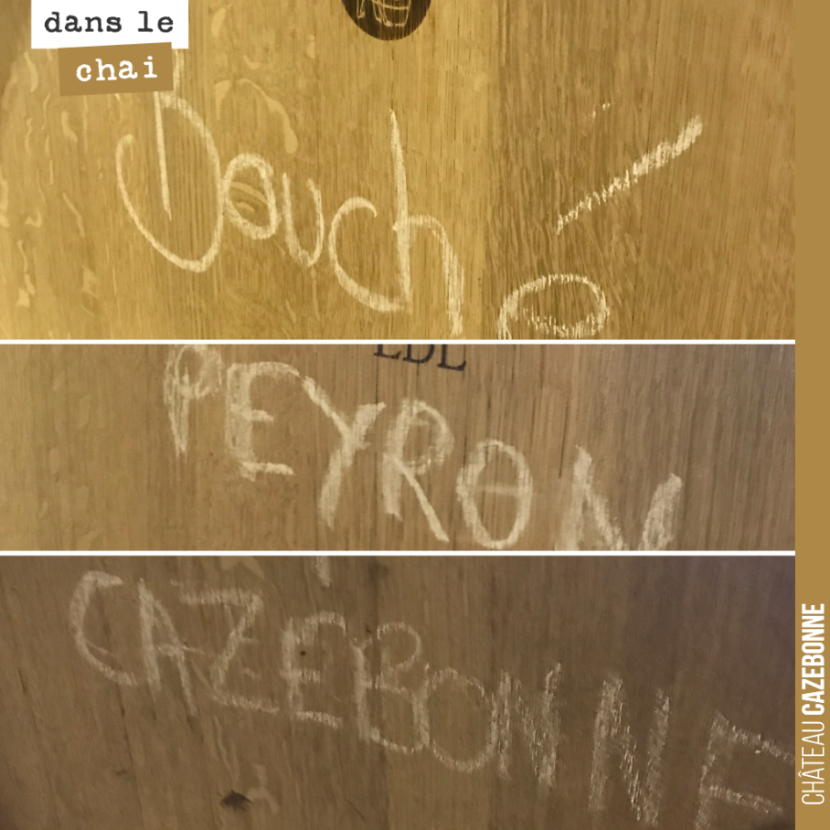 On fait fermenter en barriques nos lots de blancs issus de nos parcelles les plus qualitatives.
Et cela va être très bon !
