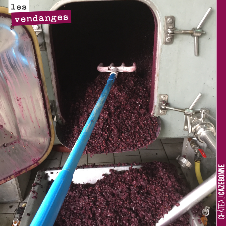 On a écoulé notre première cuve de merlot. Première parcelle de rouge vendangée (le 16/09), la fermentation était terminée, et on a préféré ne pas trop extraire de tannins sur cette cuve issue de j...