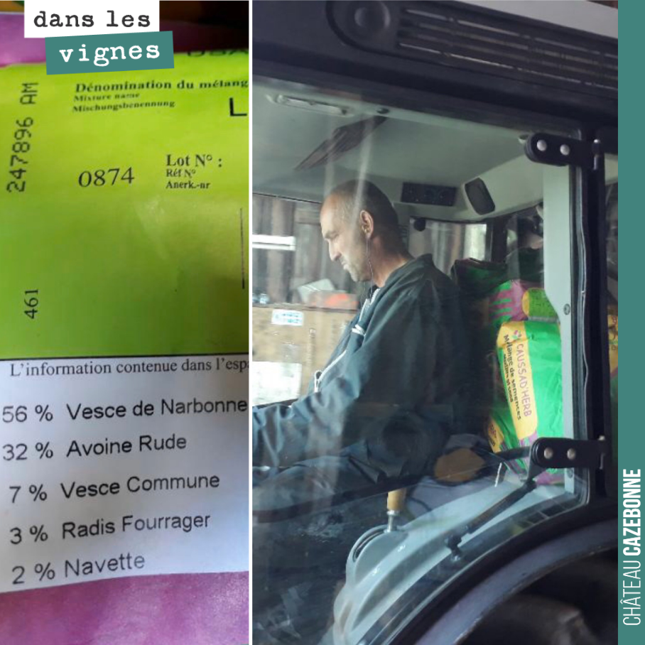A peine les vendanges terminées, Bruno s’occupe des semis de couverts végétaux. Vesces, avoines, radis fourragers... qui apporteront leur lot d’azote et de carbone au printemps.
C’est notre quatri...