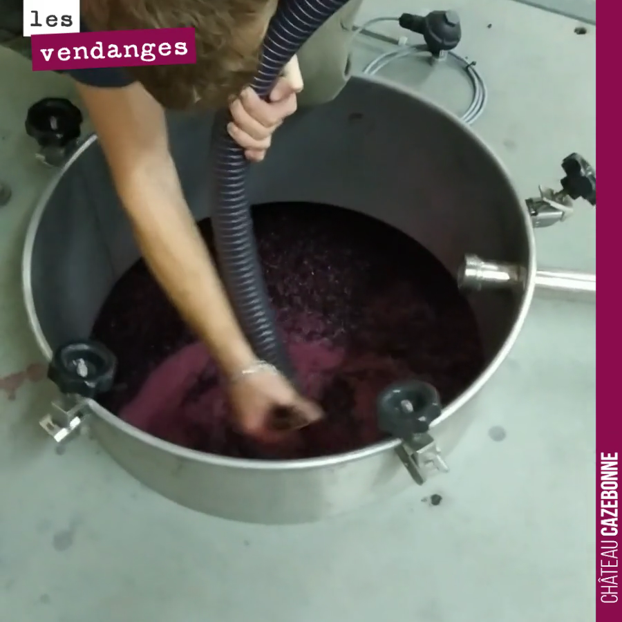Benjamin effectue un remontage sur une cuve en fermentation. Cela permet de bien mouiller le chapeau, d’éviter des contaminations bactériennes et de continuer d’extraire des tannins.