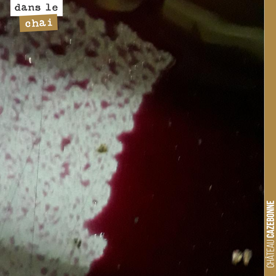 A qui profite le crime ?
On a écoulé et pressé aujourd’hui une cuve de merlot. La fermentation était terminée. Le temps est venu pour l’élevage.