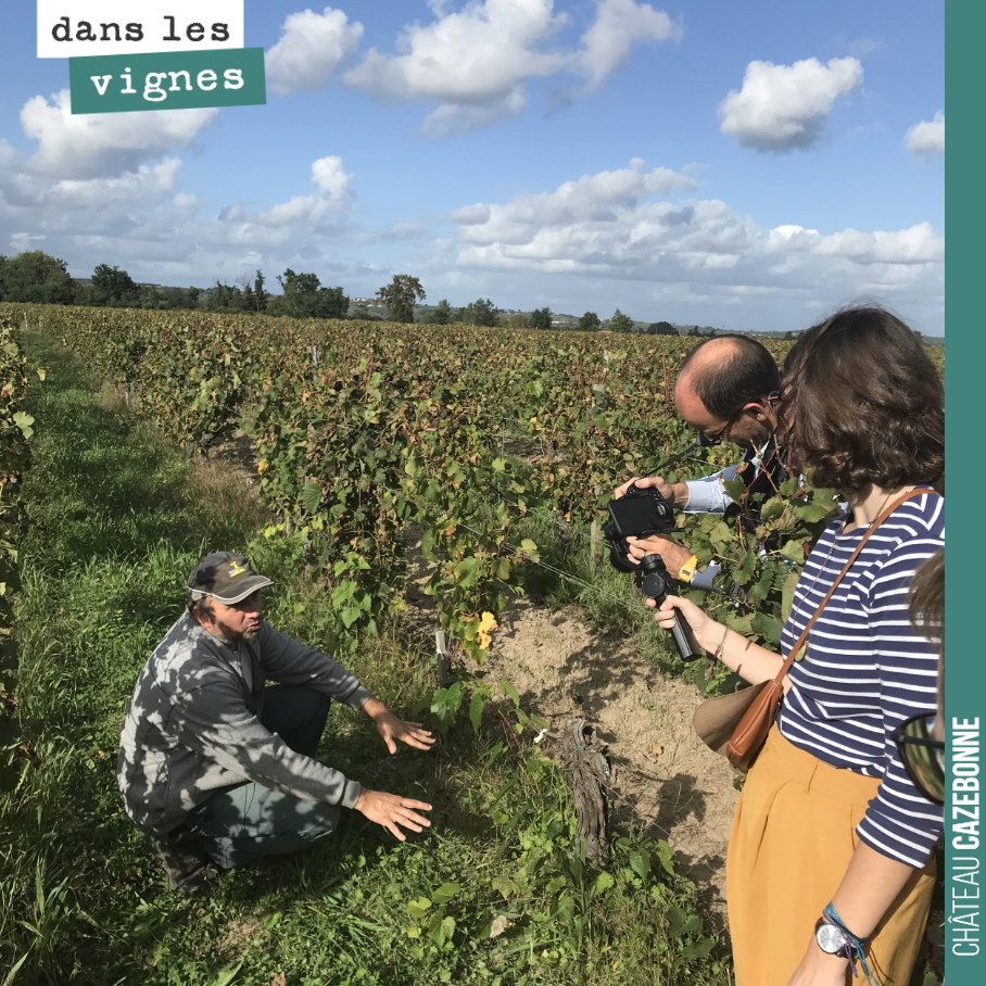 David explique à l’équipe de Winefunding pourquoi il est important d’avoir des sols vivants et quel est le rôle des vers de terre, turricules à l’appui.