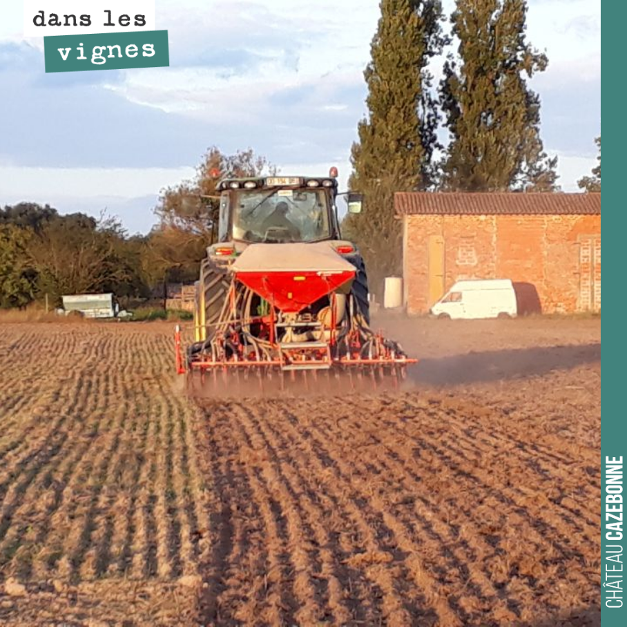 On a semé nos parcelles en jachère du Maine. On a semé des variétés anciennes de blé, le blé que nous avions récolté l’année dernière. Avec ces blés, on va produire de la paille, qui permettra de s...