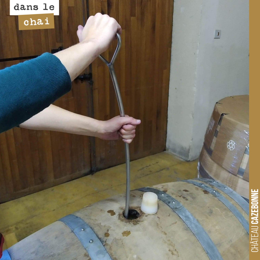 On bâtonne les barriques de blanc tous les jours afin de remuer les lies et levures et les mettre en suspension. Cela à plusieurs vertus, notamment de permettre aux levures de finir leur travail et...